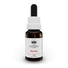 Esencia única de arbusto australiano - Boronia 15 ml