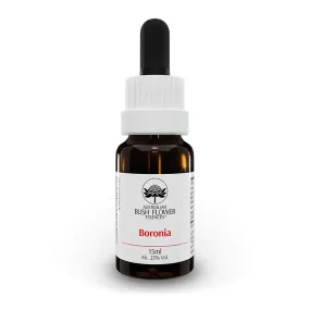 Essence simple de boronia australienne - 15 ml