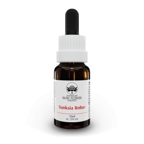 Banksia Robur 15 ml