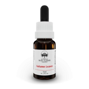 Feuilles d'automne 15ml