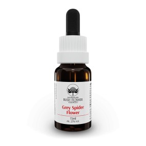 Australische Buschblüten-Einzelessenzen – Graue Spinnenblume 15 ml