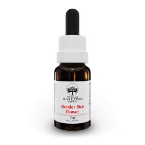 Essence simple de fleur de brousse australienne - Fleur de riz élancée 15 ml