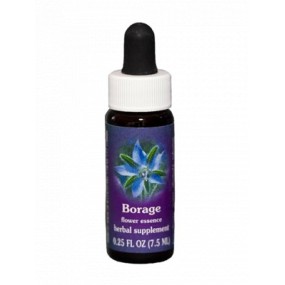 Borage (Borago officinalis) 7,4 ml