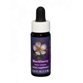 Californian Single Essence FES - Blackberry (Rubus ursinus) 7.4 ml