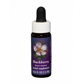Blackberry (Rubus ursinus) 7,4 ml
