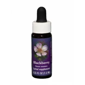Mûre (Rubus ursinus) 7.4ml