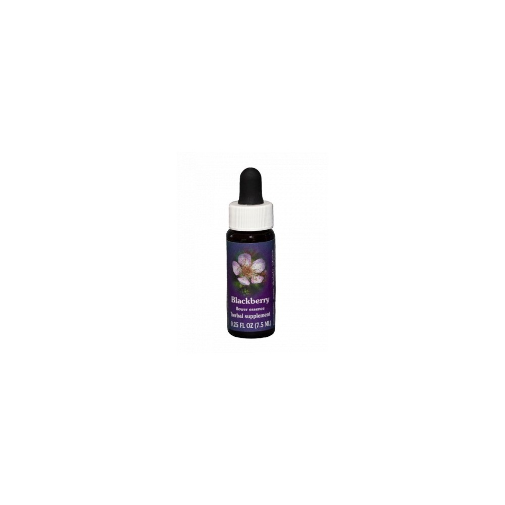 Blackberry (Rubus ursinus) 7.4ml