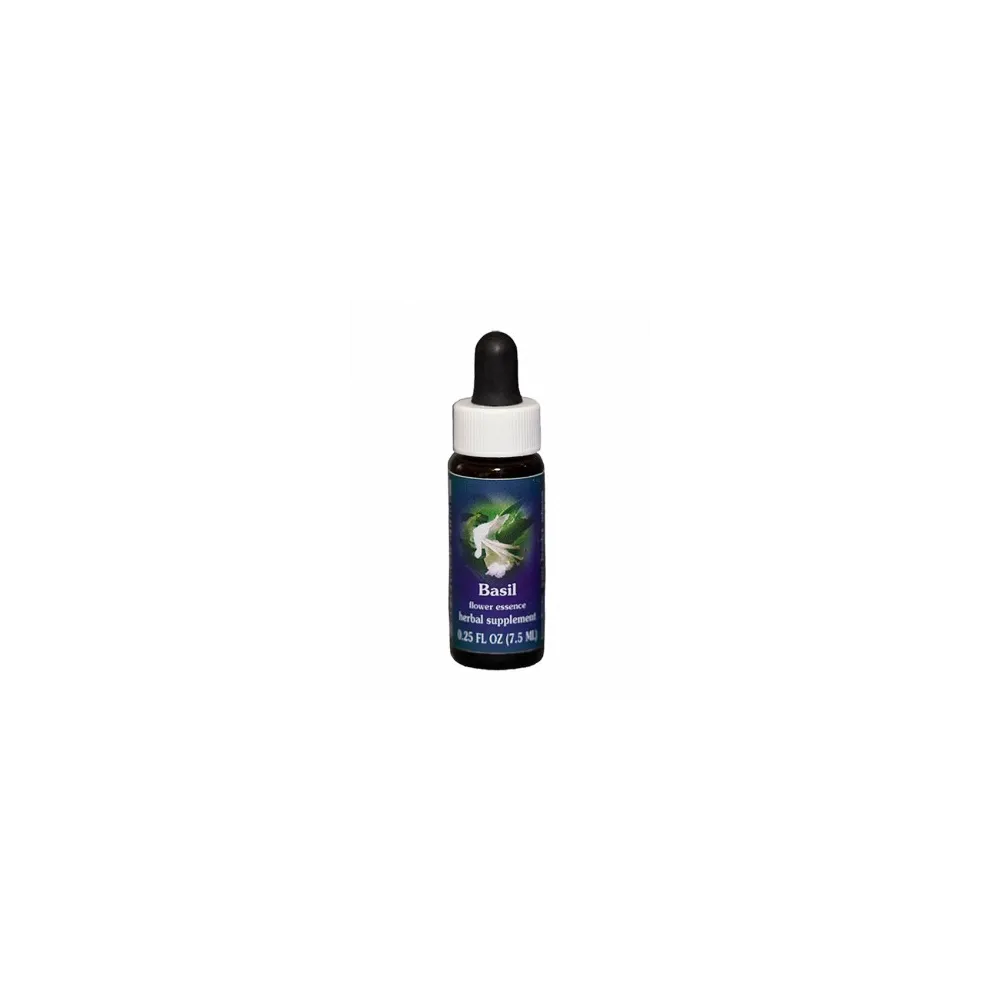 Basil (Ocimum basilicum) 7,4 ml