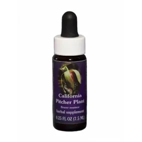 Sarracénie de Californie (Darlingtonia californica) 7.4ml