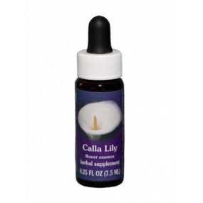 Calla-Lilien (Zantedeschia aethiopica) 7,4 ml