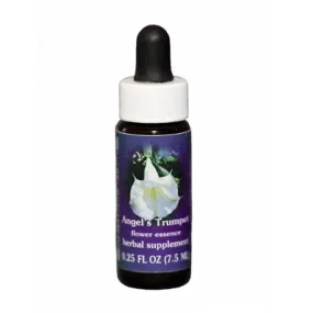 Trompette des anges (Datura candida) 7.4ml