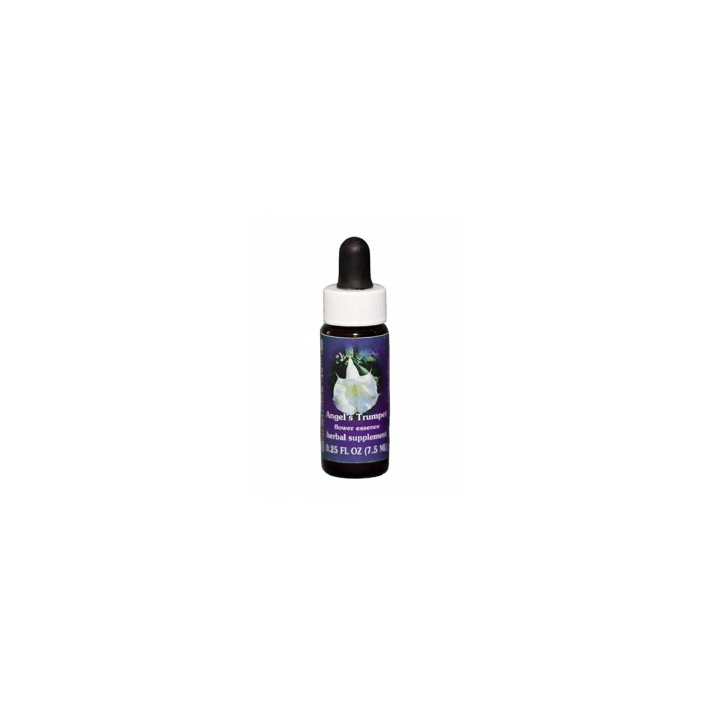 Angel's Trumpet (Datura candida) 7.4ml