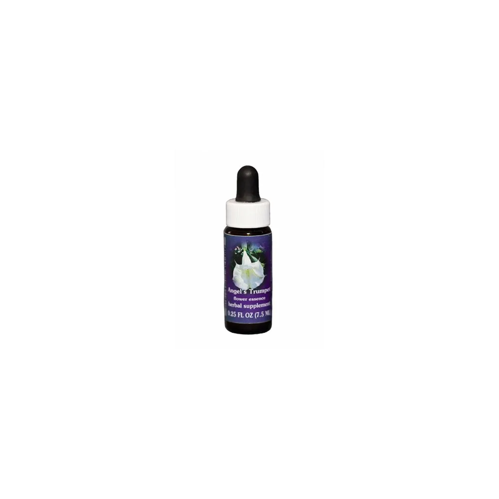 Engelstrompete (Datura candida) 7,4ml