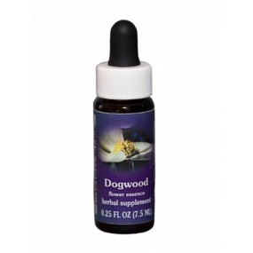 Californian Single Essence FES - Dogwood (Cornus nuttallii) 7.4 ml