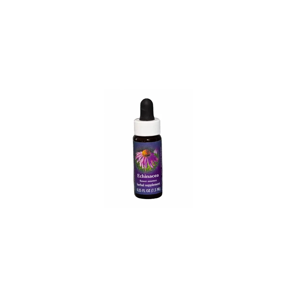 Echinacea (Echinacea purpurea) 7,4 ml