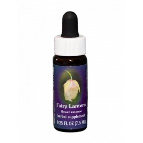 Fairy Lantern (Calochortus albus) 7,4 ml