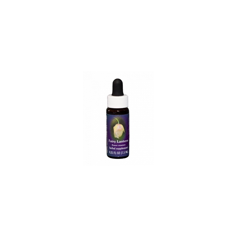 Lanterne Féerique (Calochortus albus) 7.4ml