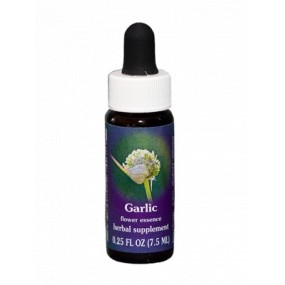 FES Californian Single Essence - Garlic (Allium sativum) 7.4 ml