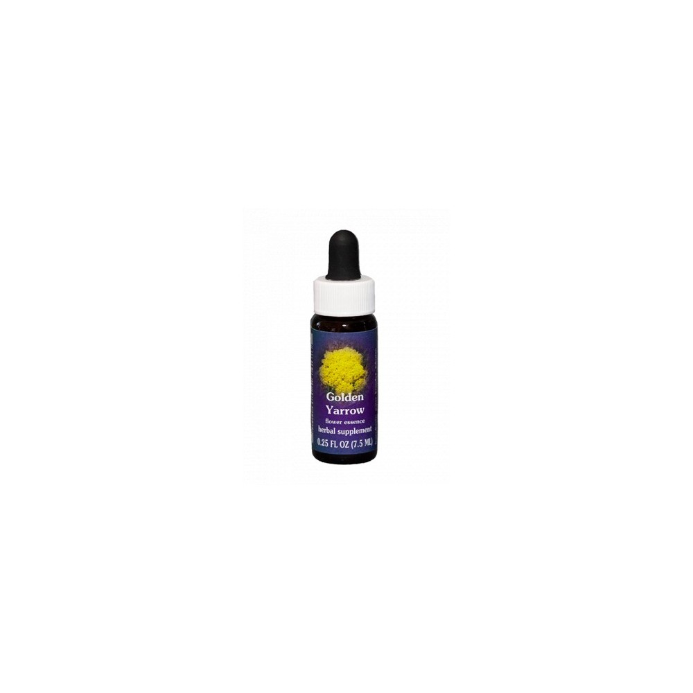 Goldene Schafgarbe (Achillea filipendulina) 7,4 ml