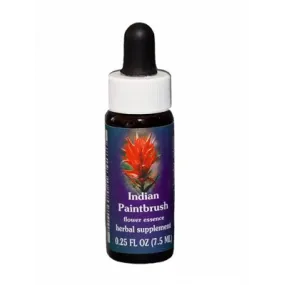 Pinceau Indien (Castilleja miniata) 7.4ml