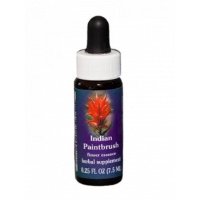 Indian Paintbrush (Castilleja miniata) 7,4 ml