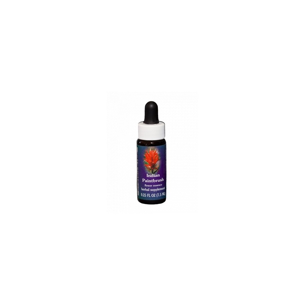 Indischer Pinsel (Castilleja miniata) 7,4ml