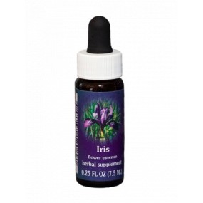 Schwertlilie (Iris douglasiana) 7,4 ml