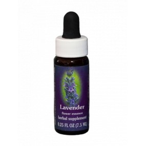 Lavender (Lavandula officinalis) 7.4ml