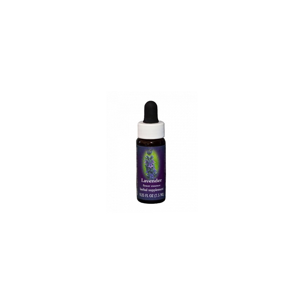 Lavender (Lavandula officinalis) 7.4ml