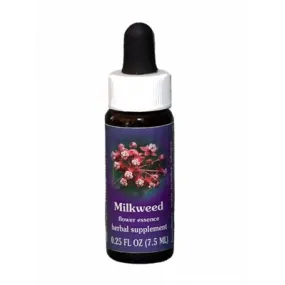 Wolfsmilch (Asclepias cordifolia) 7,4 ml