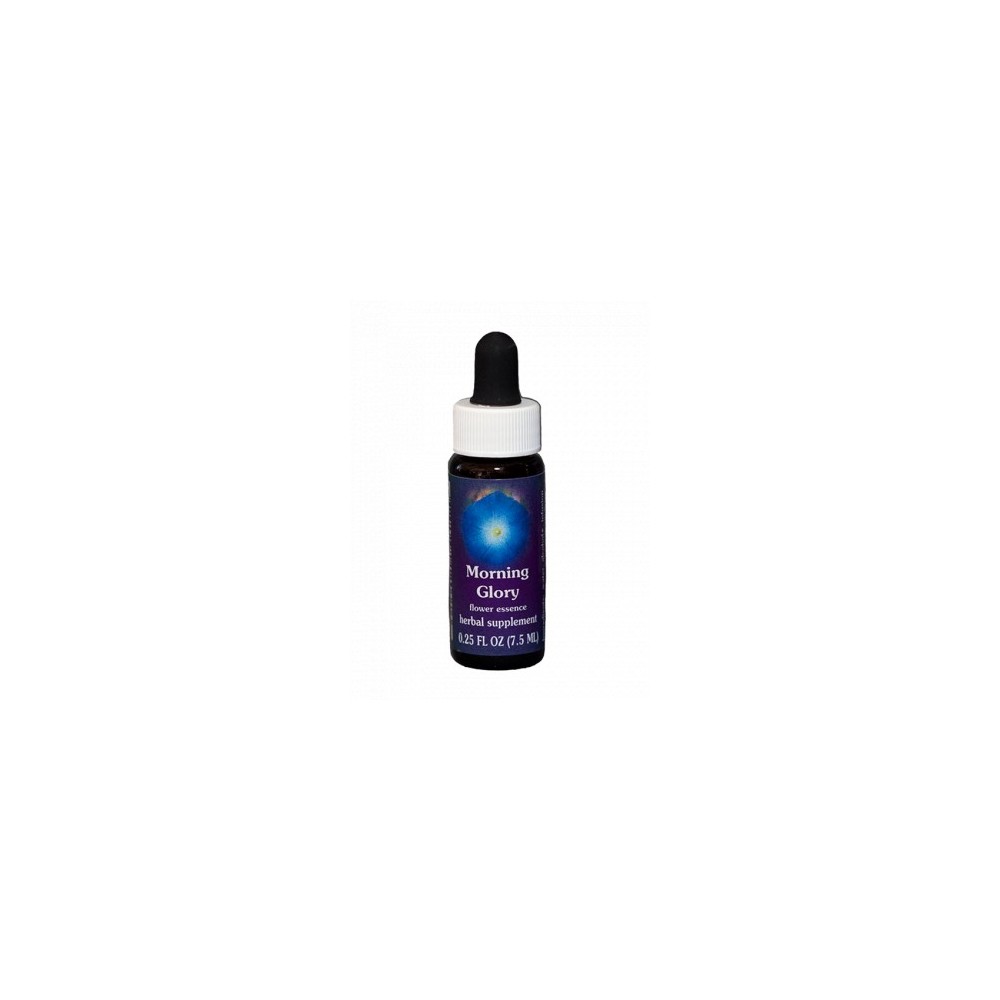 Gloire du matin (Ipomoea purpurea) 7.4ml