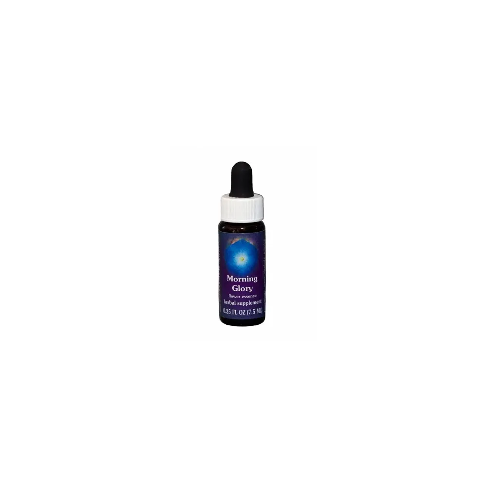 Morning Glory (Ipomoea purpurea) 7,4 ml