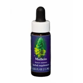 Königskerze (Verbascum thapsus) 7,4ml