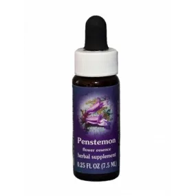 Penstemon (Penstemon davidsonii) 7.4ml