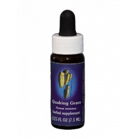 California Single Essence FES - Quaking Grass (Briza Maxima) 7.4 ml