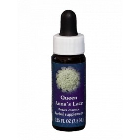 California Single Essence FES - Queen Anne's Lace (Daucus carota) 7.4 ml