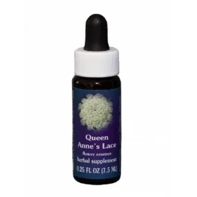 Dentelle de la Reine Anne (Daucus carota) 7.4ml