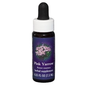 Pink Yarrow (Achillea millefolium) 7,4 ml