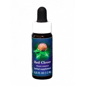 Essenza Singola Californiana FES - Red Clover (Trifolium pratense) 7,4 ml