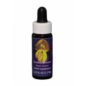 Essence simple de Californie FES - Genêt à balais (Cytisus scoparius) 7,4 ml