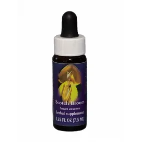 Genêt écossais (Cytisus scoparius) 7.4ml