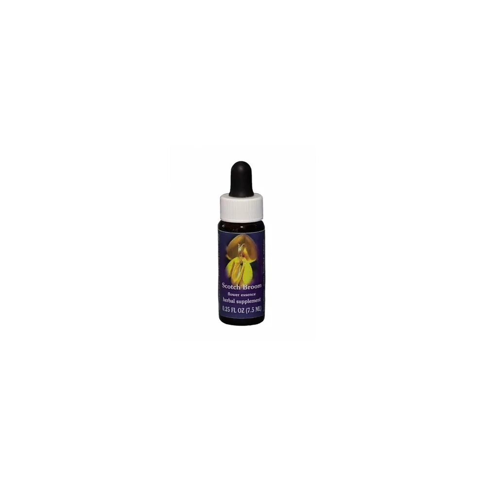 Scotch Broom (Cytisus scoparius) 7,4 ml