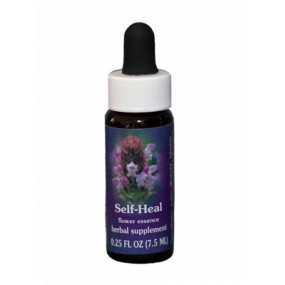 Self-Heal (Prunella vulgaris) 7,4 ml