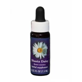 Shasta Daisy (Chrysanthème maximum) 7.4ml