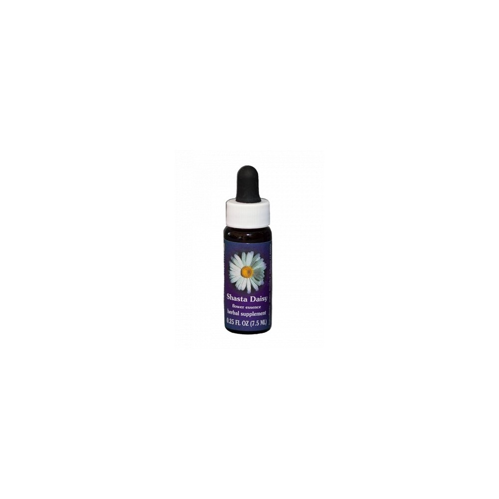 Shasta Daisy (Chrysanthemum maximum) 7,4 ml