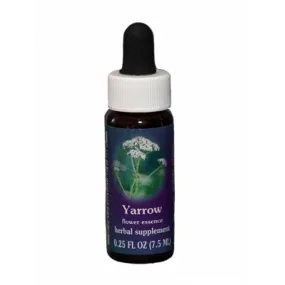 Yarrow (Achillea millefolium) 7.4 ml