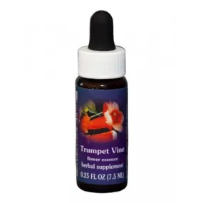 Trumpet Vine (Campsis tagliabuana) 7.4 ml