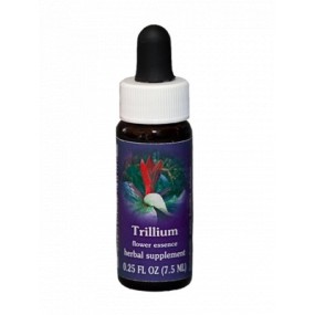 Trillium (Trillium chloropetalum) 7,4 ml