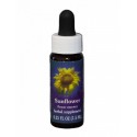 Girasol (Helianthus annuus) 7,4 ml