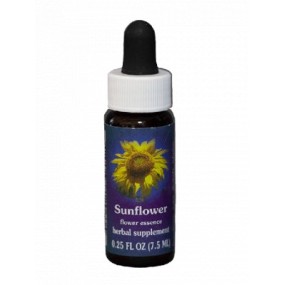 Sunflower (Helianthus annuus) 7,4 ml